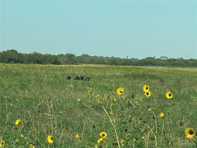 0000 S Military Road, La Joya, TX 78572