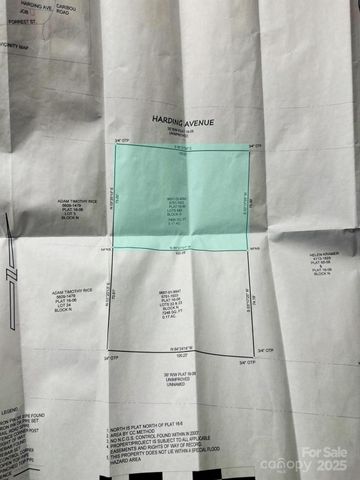 99999 Caribou Road, Asheville, NC 28803