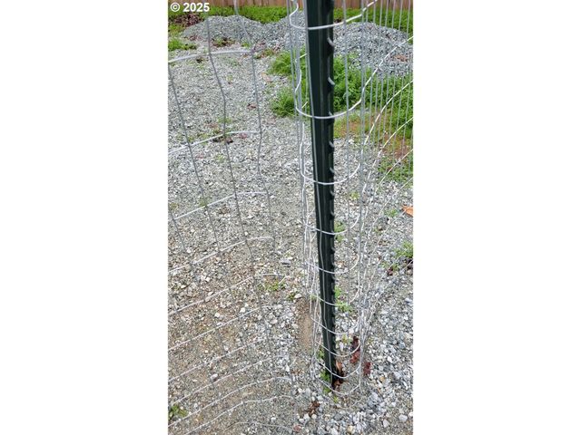 123 Peacock Ln, Myrtle Creek, OR 97457