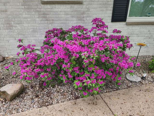 12960 Sonoma Road, Battle Creek, MI 49015