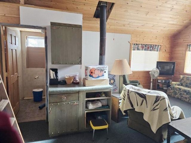 16896 Eagle Island NE, Bemidji, MN 56601