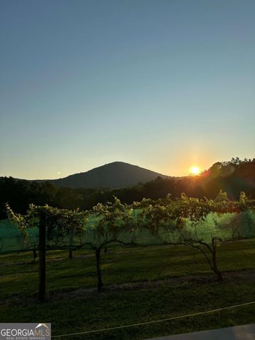 110 Rathgeb Trail, Jasper, GA 30143