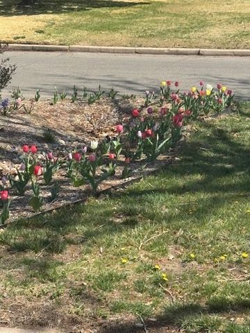 1611 N Athenian Ave, Wichita, KS 67203