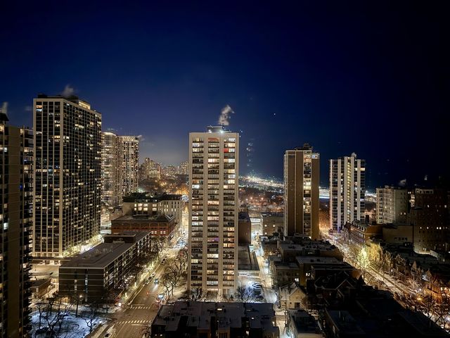 88 W Schiller Street 2503, Chicago, IL 60610