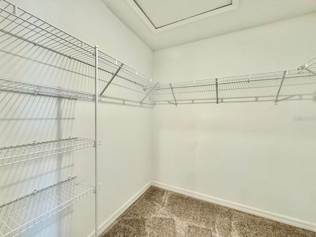 6093 ACARA LANE, Land O Lakes, FL 34638