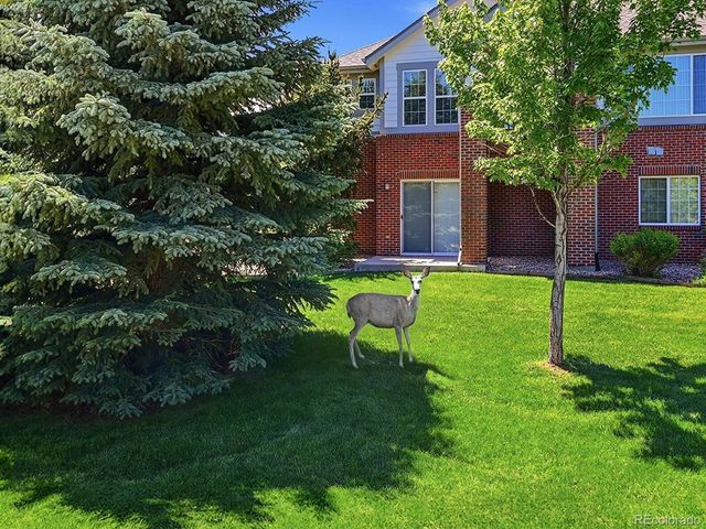 22462 E Alder Dr, Aurora, CO 80016