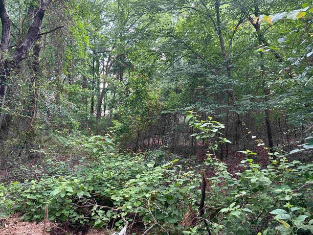 15388 BRITTAIN COURT, Lindale, TX 75771