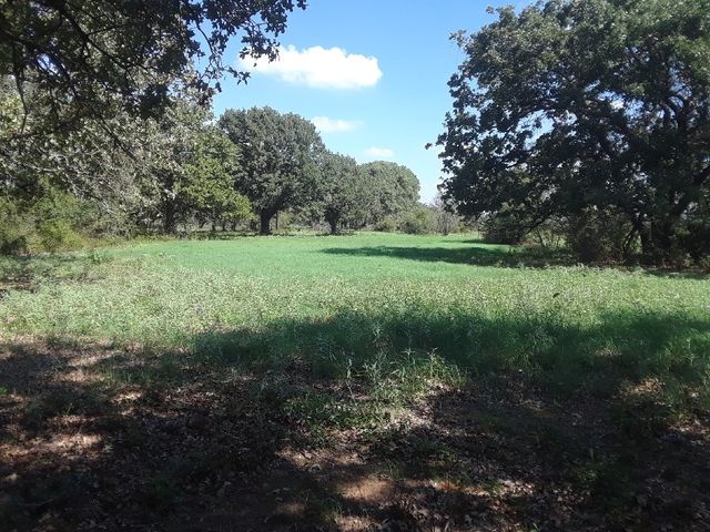 PR 114 PR 114, Covington, TX 76636
