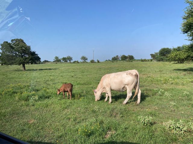 PR 114 PR 114, Covington, TX 76636