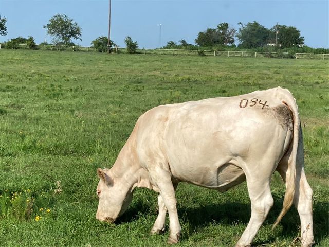 PR 114 PR 114, Covington, TX 76636
