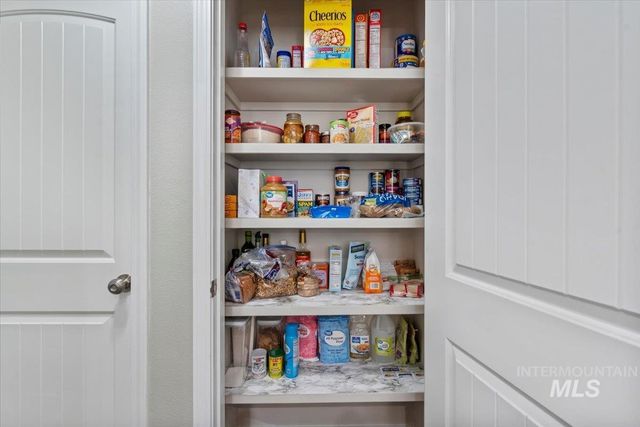 2905 W Elk Stream St, Meridian, ID 83646