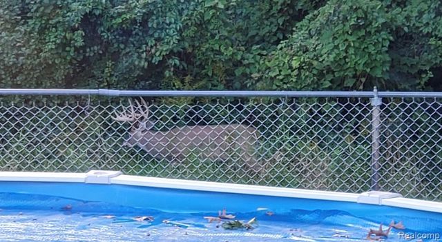 17890 Fox Glen Drive, Riverview, MI 48193