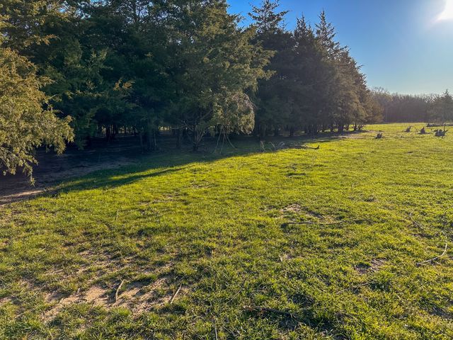 000 CR 2245, Ivanhoe, TX 75447