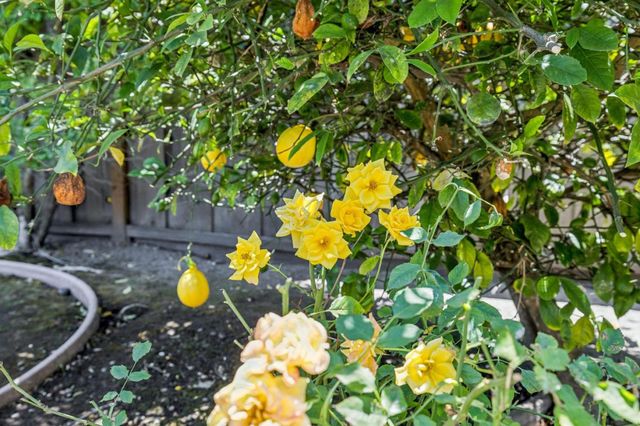 40774 AMBAR Place, Fremont, CA 94539