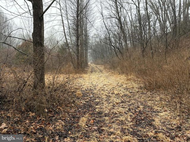 986 RUSHING RIVER RD, Augusta, WV 26704