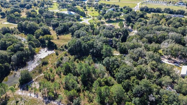 Lot 6 TREE FROG LANE, Eustis, FL 32736