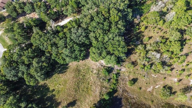 Lot 6 TREE FROG LANE, Eustis, FL 32736