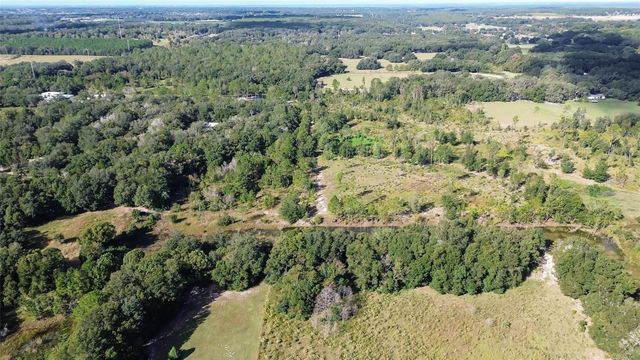 Lot 6 TREE FROG LANE, Eustis, FL 32736