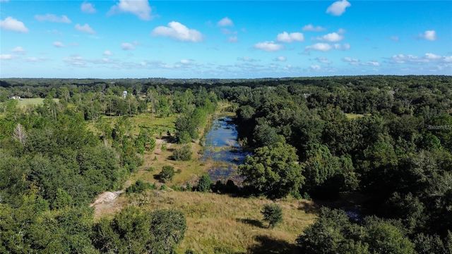 Lot 6 TREE FROG LANE, Eustis, FL 32736