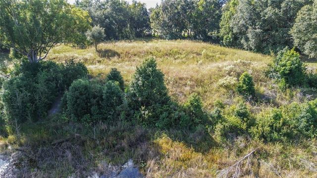 Lot 6 TREE FROG LANE, Eustis, FL 32736