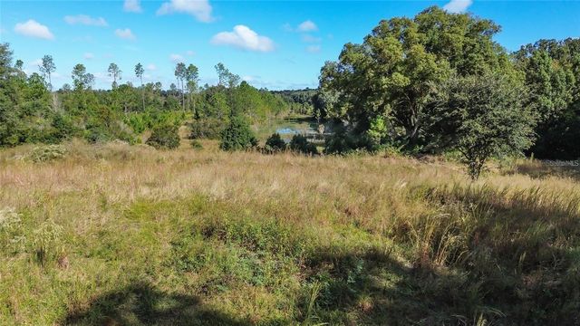 Lot 6 TREE FROG LANE, Eustis, FL 32736