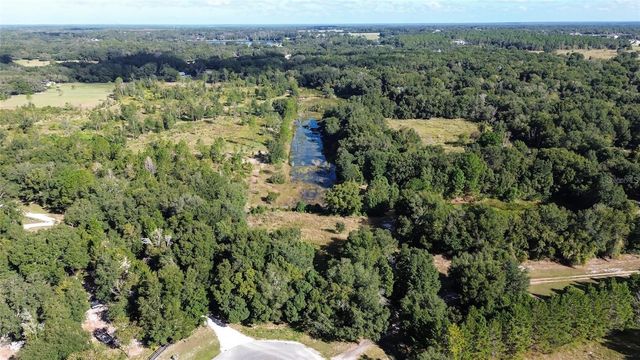Lot 6 TREE FROG LANE, Eustis, FL 32736
