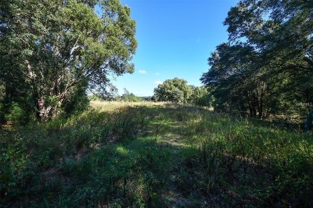 Lot 6 TREE FROG LANE, Eustis, FL 32736