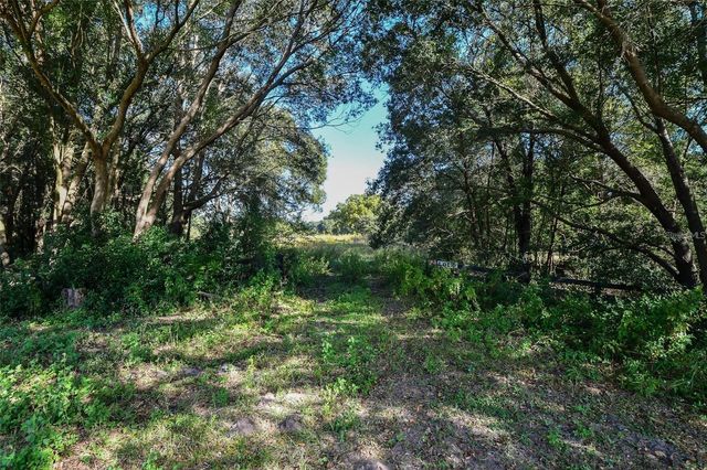 Lot 6 TREE FROG LANE, Eustis, FL 32736