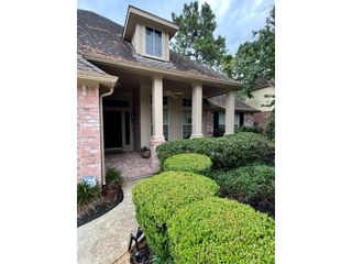 19 Trilling Bird Place, The Woodlands, TX 77384