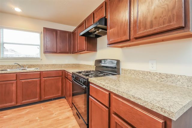 12642 Sai Baba Drive, Houston, TX 77038