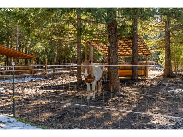 2216 HIGHWAY 141, Trout Lake, WA 98650