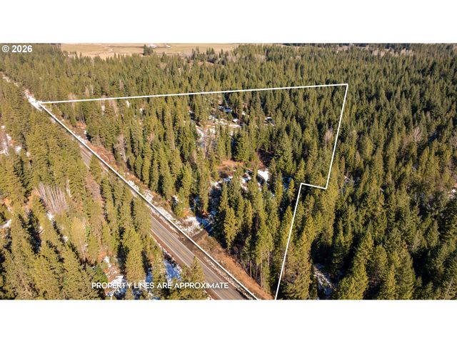 2216 HIGHWAY 141, Trout Lake, WA 98650