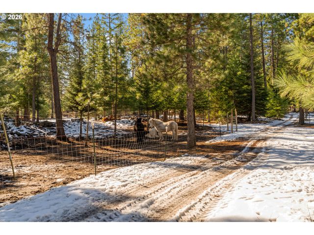 2216 HIGHWAY 141, Trout Lake, WA 98650