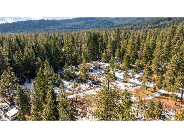 2216 HIGHWAY 141, Trout Lake, WA 98650