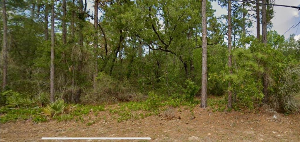 8550 N CITRUS SPRINGS BOULEVARD, Citrus Springs, FL 34433