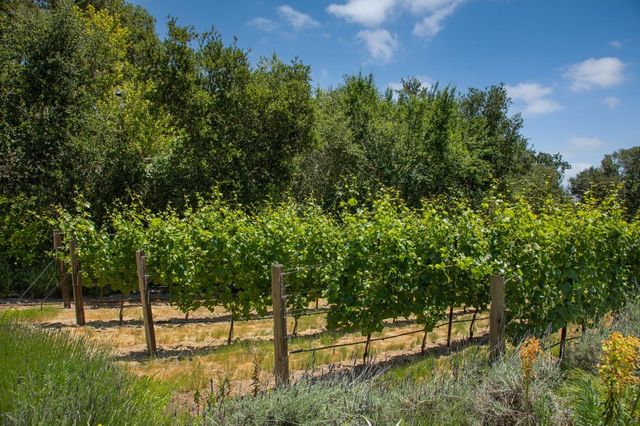 211 Winding Way, Woodside, CA 94062