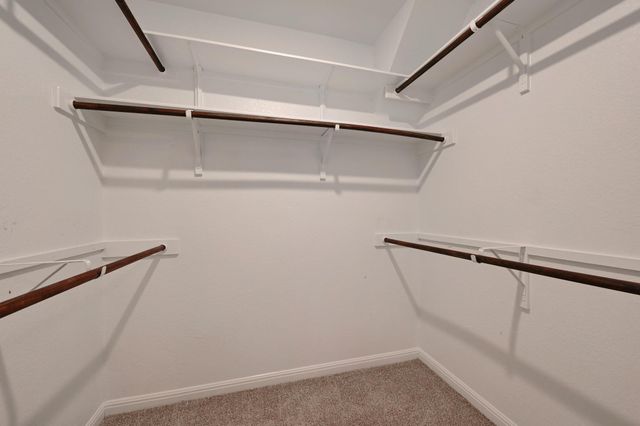 11303 Birlandier CT, Manchaca, TX 78652