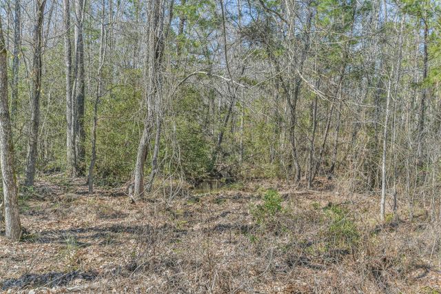 35 Old Sign Rd, Midway, TX 75852