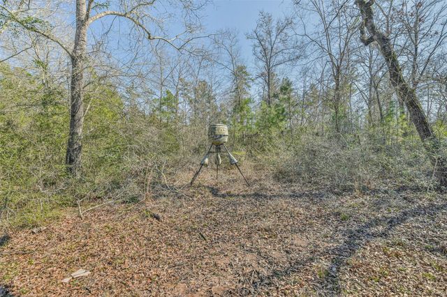 35 Old Sign Rd, Midway, TX 75852