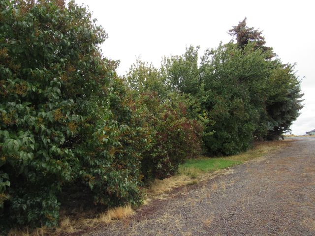 34014 Oregon Shores 2 Drive, Chiloquin, OR 97624