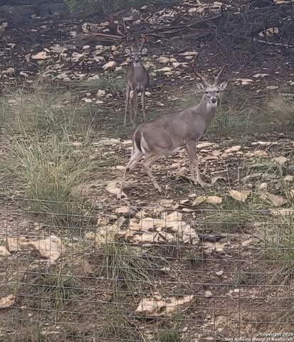 67 Sun Valley, Spring Branch, TX 78070