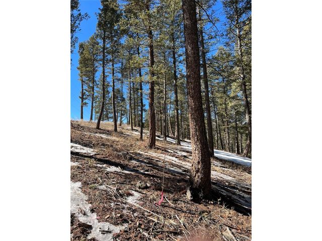 7871 Gold Rush, Morrison, CO 80465