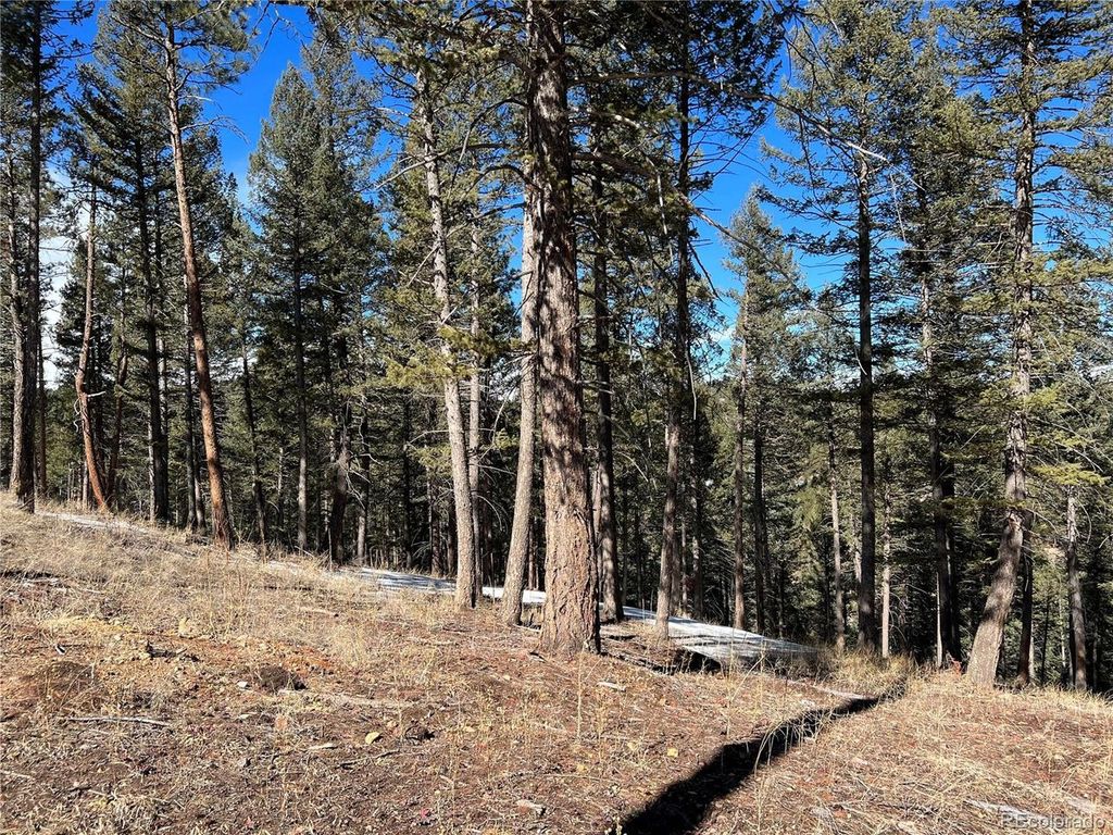 7871 Gold Rush, Morrison, CO 80465