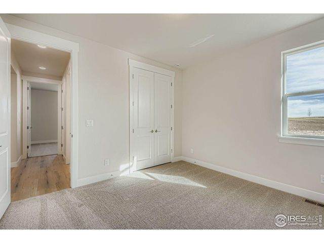 1825 Flourish Dr, Windsor, CO 80550