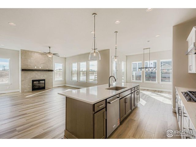 1825 Flourish Dr, Windsor, CO 80550