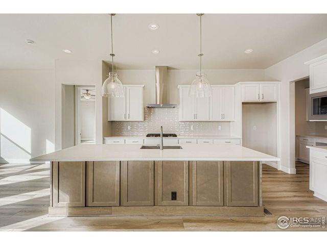 1825 Flourish Dr, Windsor, CO 80550