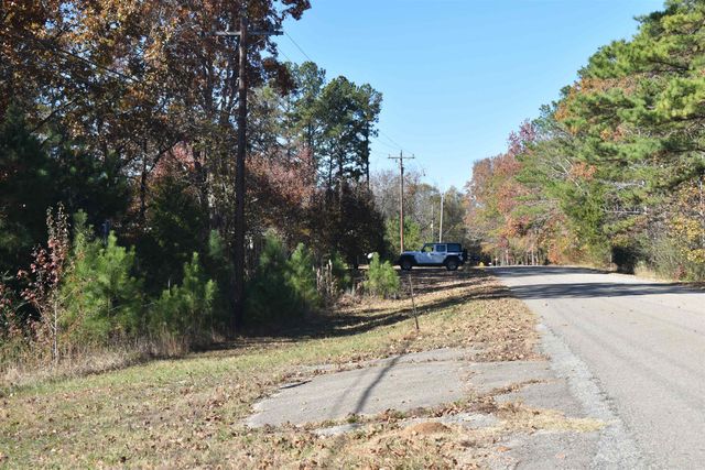 115 FALCON ST, Selmer, TN 38375