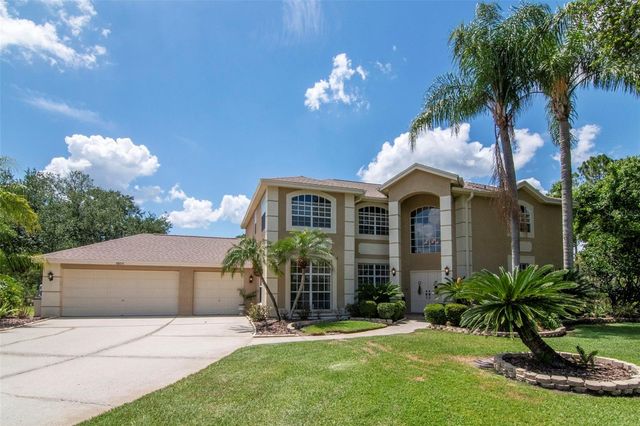 18511 BITTERN AVENUE, Lutz, FL 33558