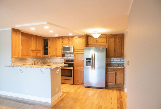 16 E Old Willow Road 206-S, Prospect Heights, IL 60070