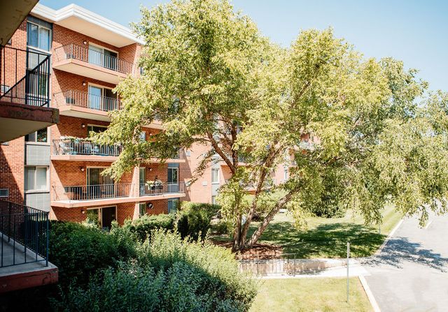 16 E Old Willow Road 206-S, Prospect Heights, IL 60070